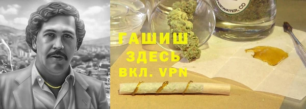 альфа пвп Гусев