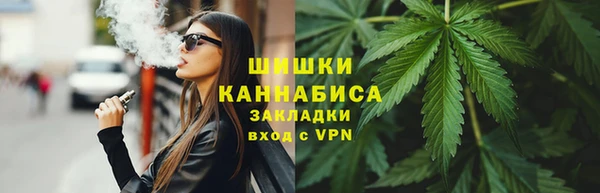 альфа пвп Гусев