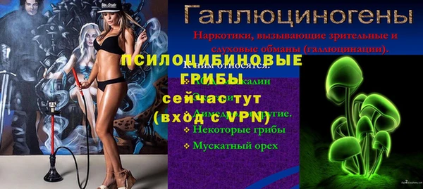 альфа пвп Гусев