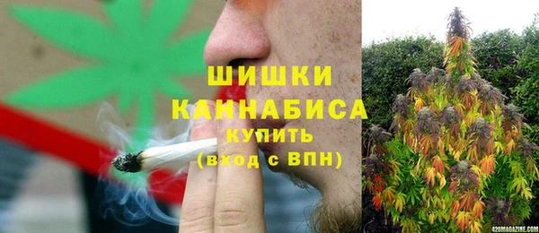 apvp Гусь-Хрустальный