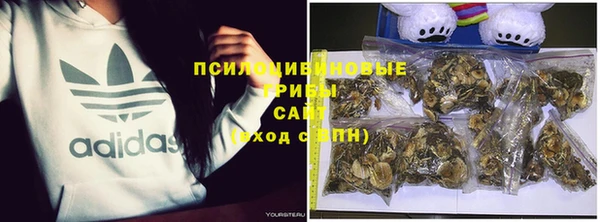 альфа пвп Гусев