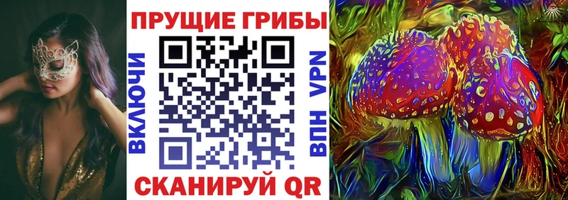 Галлюциногенные грибы Magic Shrooms  MEGA сайт  Чердынь  где купить наркоту 
